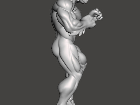 ZMIENIONA BESTIA WILKOŁAK FORMA MINIATUROWY MODEL FANTASY LUB GRY SCIFI RPG DND Model do druku 3D