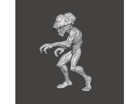 KORKU VE FANTAZİ OYUNLARI İÇİN EN İYİ AĞIR MODEL FİGÜR RPG DND 3D Baskı Modeli