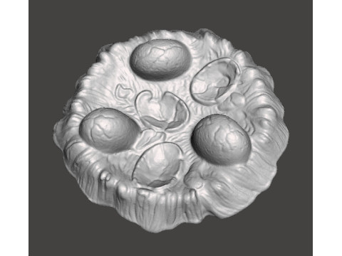 NIDO DI DRAGO DINOSAURO CON UOVA MODELLO IN MINIATURA FANTASY TERRAIN DND MARKER RPG Modello di stampa 3D