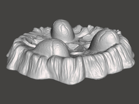 NIDO DI DRAGO DINOSAURO CON UOVA MODELLO IN MINIATURA FANTASY TERRAIN DND MARKER RPG Modello di stampa 3D