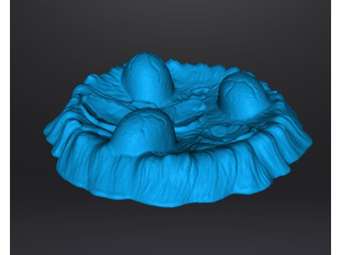 NIDO DI DRAGO DINOSAURO CON UOVA MODELLO IN MINIATURA FANTASY TERRAIN DND MARKER RPG Modello di stampa 3D