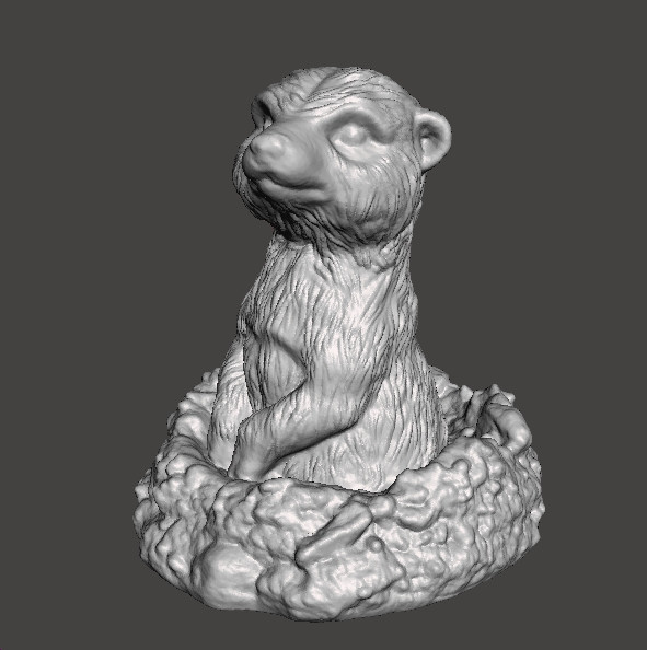 MEERKAT NELLA TANA CARINA FIGURA REALISTICA MODELLO CREATURA ANIMALE FAUNA SELVATICA Modello di stampa 3D .c4d .max .obj .3ds .fbx .stl .blend