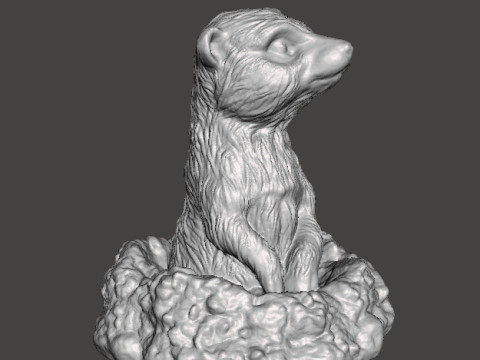 MEERKAT NELLA TANA CARINA FIGURA REALISTICA MODELLO CREATURA ANIMALE FAUNA SELVATICA Modello di stampa 3D