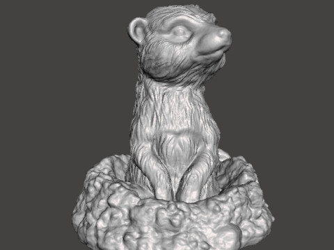 MEERKAT NELLA TANA CARINA FIGURA REALISTICA MODELLO CREATURA ANIMALE FAUNA SELVATICA Modello di stampa 3D