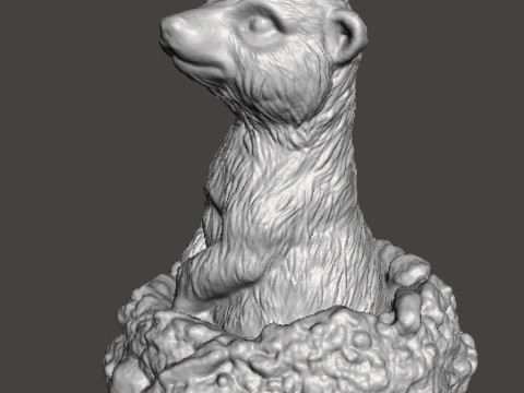 MEERKAT NELLA TANA CARINA FIGURA REALISTICA MODELLO CREATURA ANIMALE FAUNA SELVATICA Modello di stampa 3D