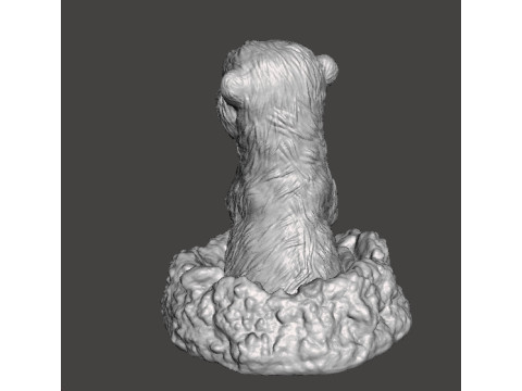 MEERKAT NELLA TANA CARINA FIGURA REALISTICA MODELLO CREATURA ANIMALE FAUNA SELVATICA Modello di stampa 3D