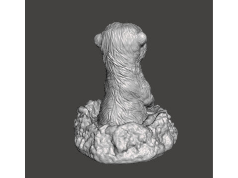 MEERKAT NELLA TANA CARINA FIGURA REALISTICA MODELLO CREATURA ANIMALE FAUNA SELVATICA Modello di stampa 3D