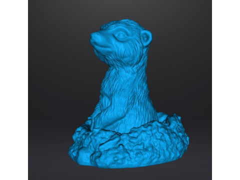 MEERKAT NELLA TANA CARINA FIGURA REALISTICA MODELLO CREATURA ANIMALE FAUNA SELVATICA Modello di stampa 3D