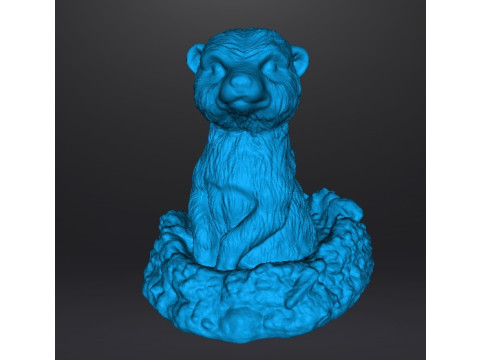 MEERKAT NELLA TANA CARINA FIGURA REALISTICA MODELLO CREATURA ANIMALE FAUNA SELVATICA Modello di stampa 3D