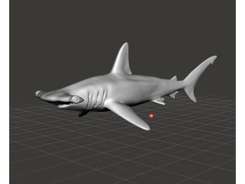 HAMMERHEAD SHARK REALISTIC FIGURE MODEL ANIMAL CREATURE WILDLIFE RPG 3D Print Model