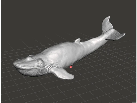 BALLENA AZUL REALISTA FIGURA MODELO ANIMAL CRIATURA VIDA SILVESTRE Modelo de impresión 3D