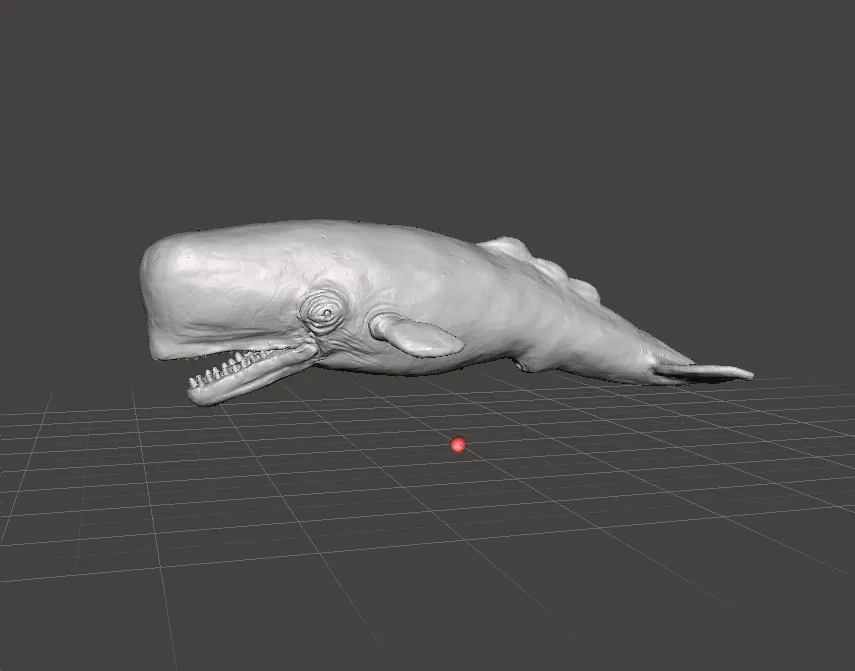 SPERM WHALE REALISTIC CACHALOT FIGURE MODEL ANIMAL CREATURE WILDLIFE 3D Print Model .c4d .max .obj .3ds .fbx .stl .blend 