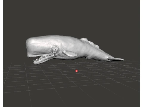 CACHALOTE REALISTA CACHALOTA FIGURA MODELO ANIMAL CRIATURA VIDA SILVESTRE Modelo de impresión 3D