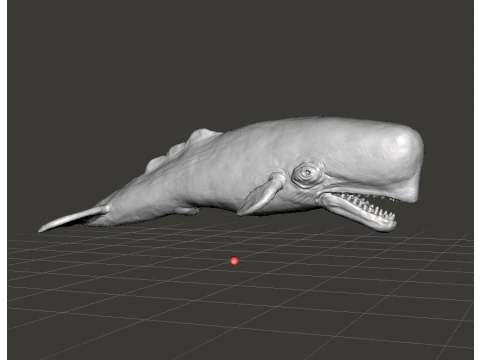 SPERM WHALE REALISTIC CACHALOT FIGURE MODEL ANIMAL CREATURE WILDLIFE 3D Print Model