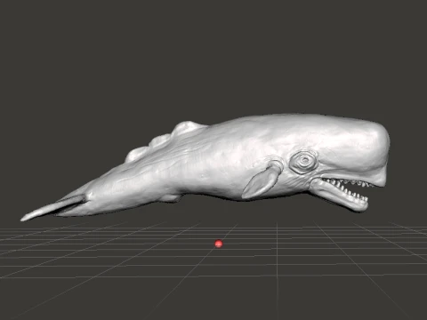 SPERM WHALE REALISTIC CACHALOT FIGURE MODEL ANIMAL CREATURE WILDLIFE 3D Print Model