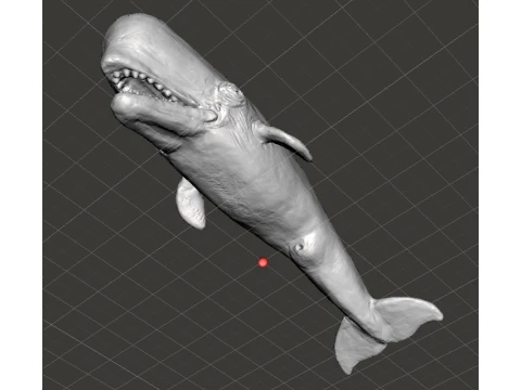 SPERM WHALE REALISTIC CACHALOT FIGURE MODEL ANIMAL CREATURE WILDLIFE 3D Print Model