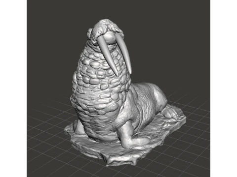 WALRUS FIGURE MODEL REALISTIC SCULPTURE STATUE ORNAMENT WILDLIFE 3D Print Model