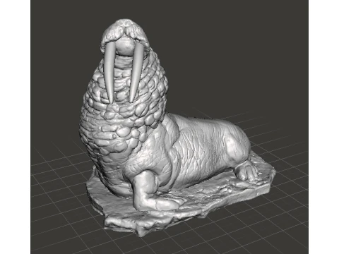 WALRUS FIGURE MODEL REALISTIC SCULPTURE STATUE ORNAMENT WILDLIFE 3D Print Model