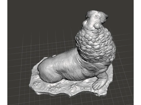WALRUS FIGURE MODEL REALISTIC SCULPTURE STATUE ORNAMENT WILDLIFE 3D Print Model