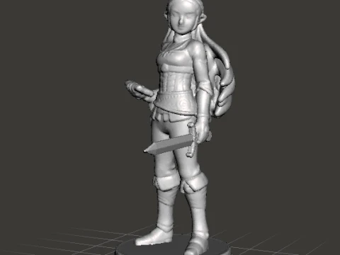 BOTW PRINCIPESSA CON SPADA MODELLO IN MINIATURA FANTASY GAMES RPG DND Modello di stampa 3D