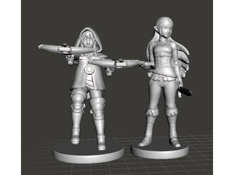 BOTW PRINCESS WITH SWORD MINIATURE MODEL FANTASY GAMES RPG DND 3D Print Model