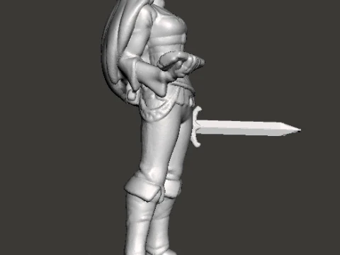 BOTW PRINCESS WITH SWORD MINIATURE MODEL FANTASY GAMES RPG DND 3D Print Model
