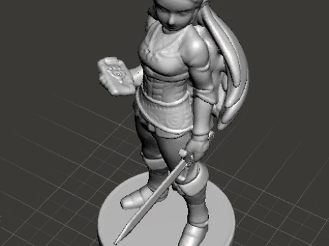 BOTW PRINCESS WITH SWORD MINIATURE MODEL FANTASY GAMES RPG DND 3D Print Model