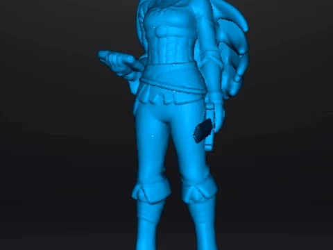 BOTW PRINCESS WITH SWORD MINIATURE MODEL FANTASY GAMES RPG DND 3D Print Model