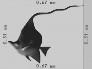 Angel Fish Ready to Print STL FBX OBJ 3D Принт Модель