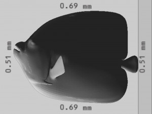 Emperor Anglefish Ready to Print STL FBX OBJ Modello di stampa 3D