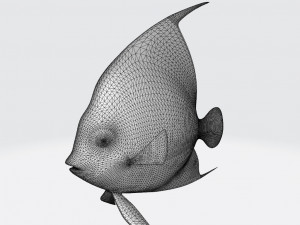 Black Angelfish Ready to Print STL FBX OBJ 3Dプリントモデル