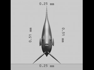 Black Angelfish Ready to Print STL FBX OBJ 3Dプリントモデル