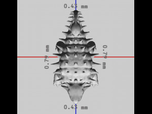 Ankylosaurus Dinosaur Ready to Print STL FBX OBJ 3D प्रिंट मॉडल