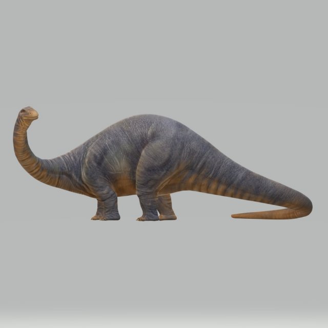 Apatosaurus Dinosaur Ready to Print STL FBX OBJ 3D Baskı Modeli .c4d .max .obj .3ds .fbx .stl .blend 