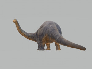 Apatosaurus Dinosaur Ready to Print STL FBX OBJ 3D Baskı Modeli