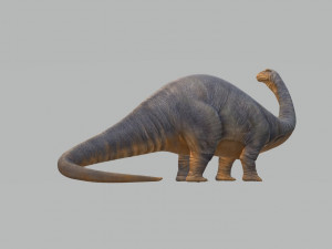 Apatosaurus Dinosaur Ready to Print STL FBX OBJ 3D Baskı Modeli