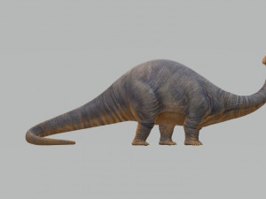 Apatosaurus Dinosaur Ready to Print STL FBX OBJ 3D Baskı Modeli