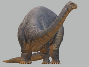 Apatosaurus Dinosaur Ready to Print STL FBX OBJ 3D Baskı Modeli