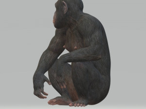 Chimpansee Ready to Print STL FBX OBJ 3Dプリントモデル