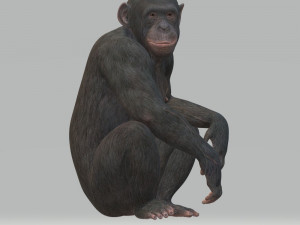 Chimpansee Ready to Print STL FBX OBJ 3Dプリントモデル