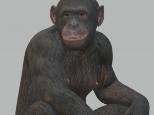 Chimpansee Ready to Print STL FBX OBJ 3Dプリントモデル
