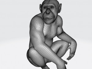 Chimpansee Ready to Print STL FBX OBJ 3Dプリントモデル