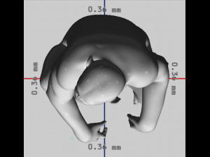 Chimpansee Ready to Print STL FBX OBJ 3Dプリントモデル