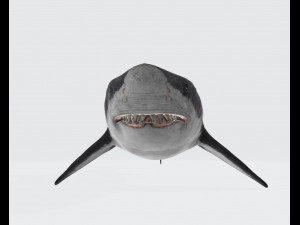 Megalodon Shark Ready to Print 3D Baskı Modeli