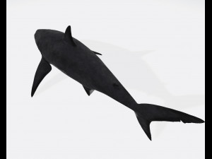 Megalodon Shark Ready to Print 3D Baskı Modeli