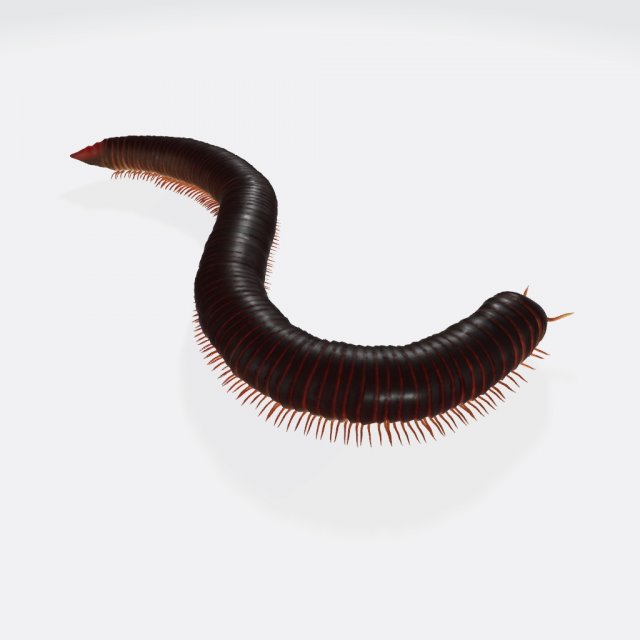 Millipede Ready to Print Modèles 3D en vedette .c4d .max .obj .3ds .fbx .stl .blend 