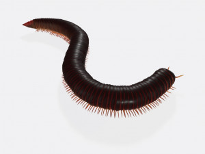 Millipede Ready to Print 3D Print Model