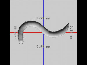 Millipede Ready to Print Modèles 3D en vedette