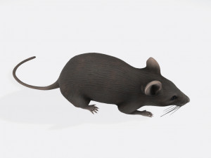Mouse Ready to Print 3D-printmodel