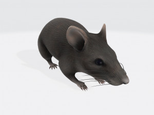 Mouse Ready to Print 3D-printmodel